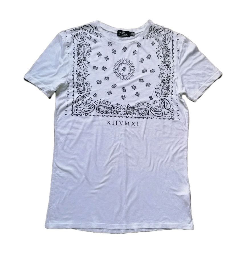 Men t-shirt, small