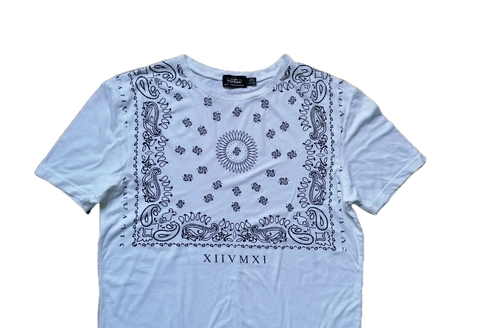 Men t-shirt, small