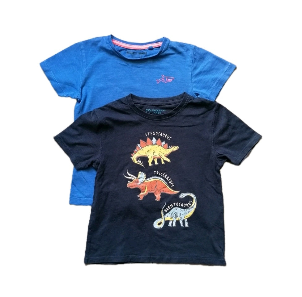 2 x Boys t-shirt 4-5y