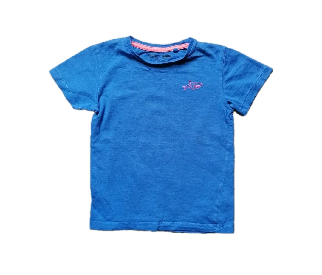 2 x Boys t-shirt 4-5y